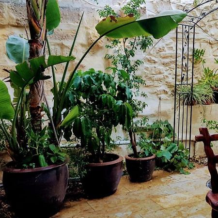 Hotel הגן הקסום, הצימר בבאר שבע Exterior foto